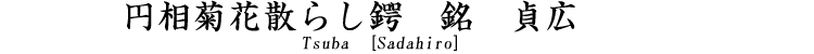 円相菊花散らし鍔　銘　貞広 Tsuba [Sadahiro]
