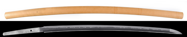 　刀　土州住蒼龍子貞行　昭和五十八年二月 Katana [Yamamura_Sadayuki]