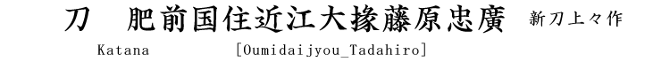 刀　肥前国住近江大掾藤原忠広(新刀上々作) Katana [Oumidaijyou_Tadahiro]