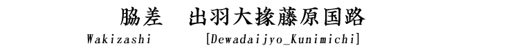 脇差　出羽大掾藤原国路 Wakizashi [Dewadaijyo_Kunimichi]
