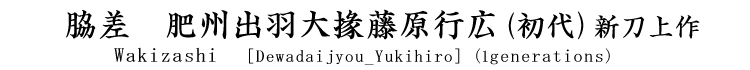 脇差　肥州出羽大掾藤原行広(初代)新刀上作 Wakizashi [Dewadaijyou_Yukihiro]