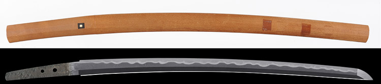 脇差　肥州出羽大掾藤原行広(初代)新刀上作 Wakizashi [Dewadaijyou_Yukihiro]