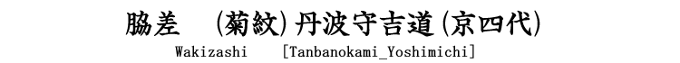 脇差　(菊紋)丹波守吉道(京四代) Wakizashi [Tanbanokami_Yoshimichi]