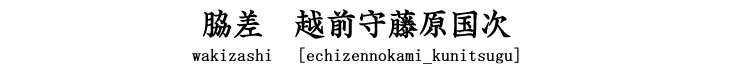 脇差　越前守藤原国次wakizashi[Echizennokami_Kunitsugu]